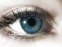 auge3.jpg